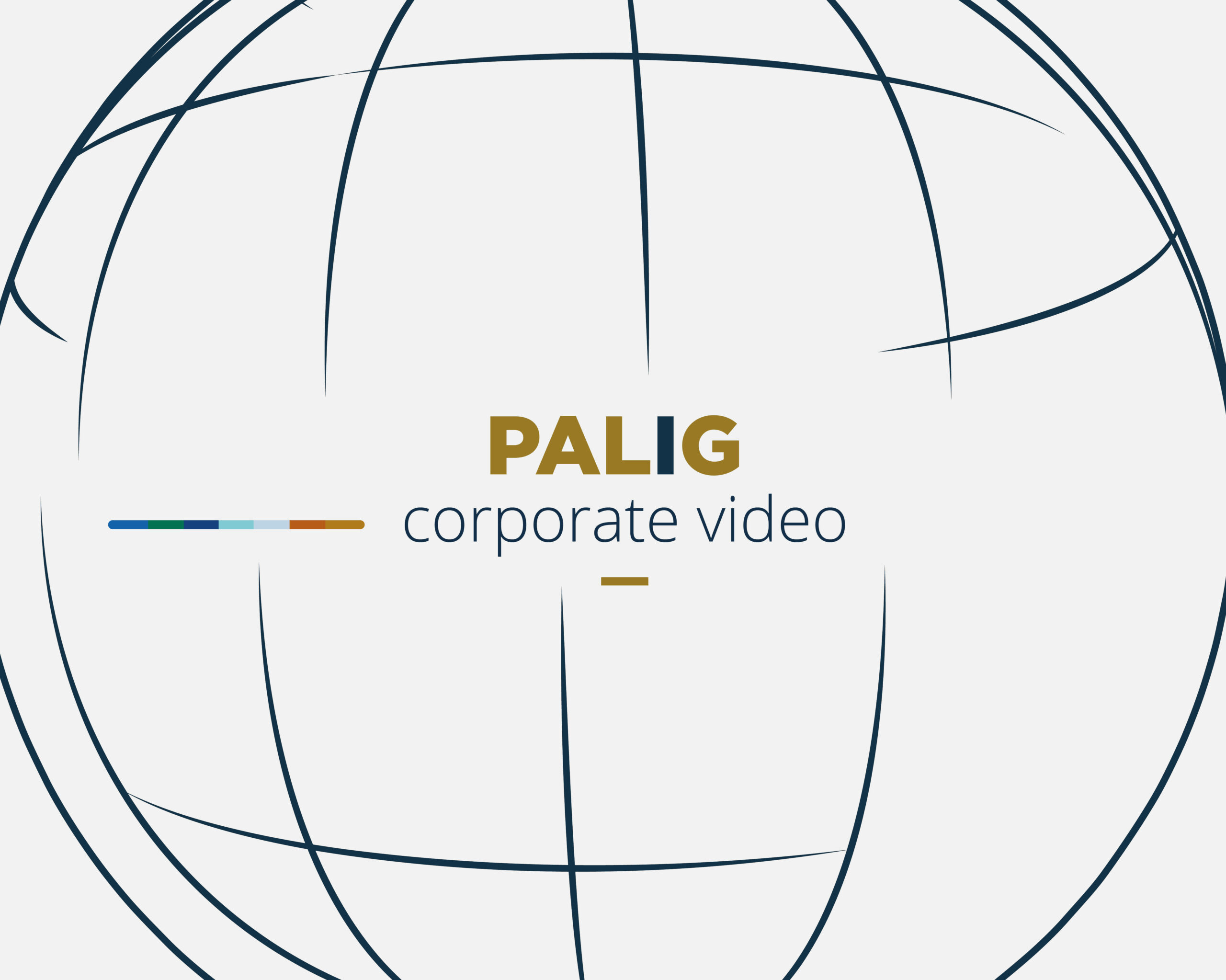 Corporate video PALIG 2018